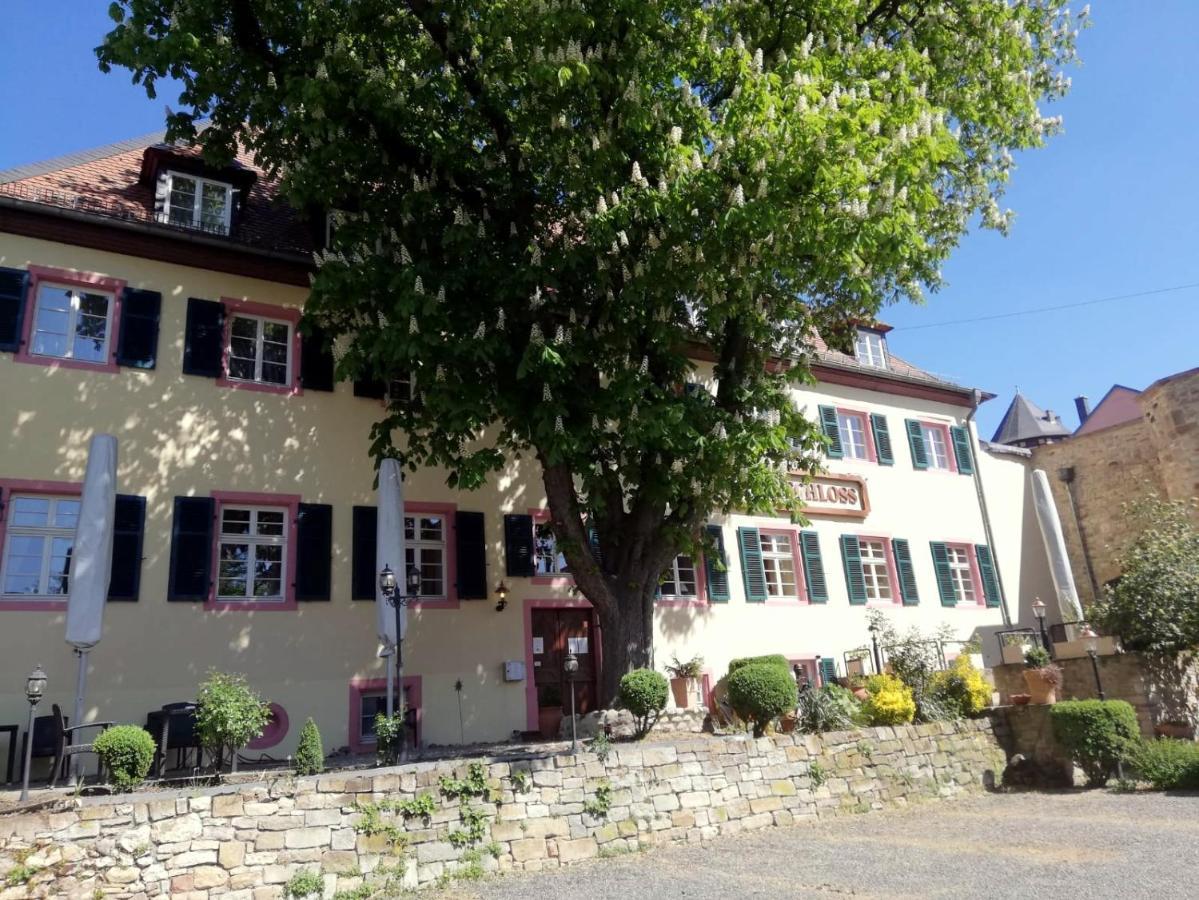 Hotel Am Schloss アルツァイ エクステリア 写真